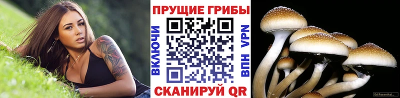 blacksprut рабочий сайт  Алапаевск  Псилоцибиновые грибы мухоморы 